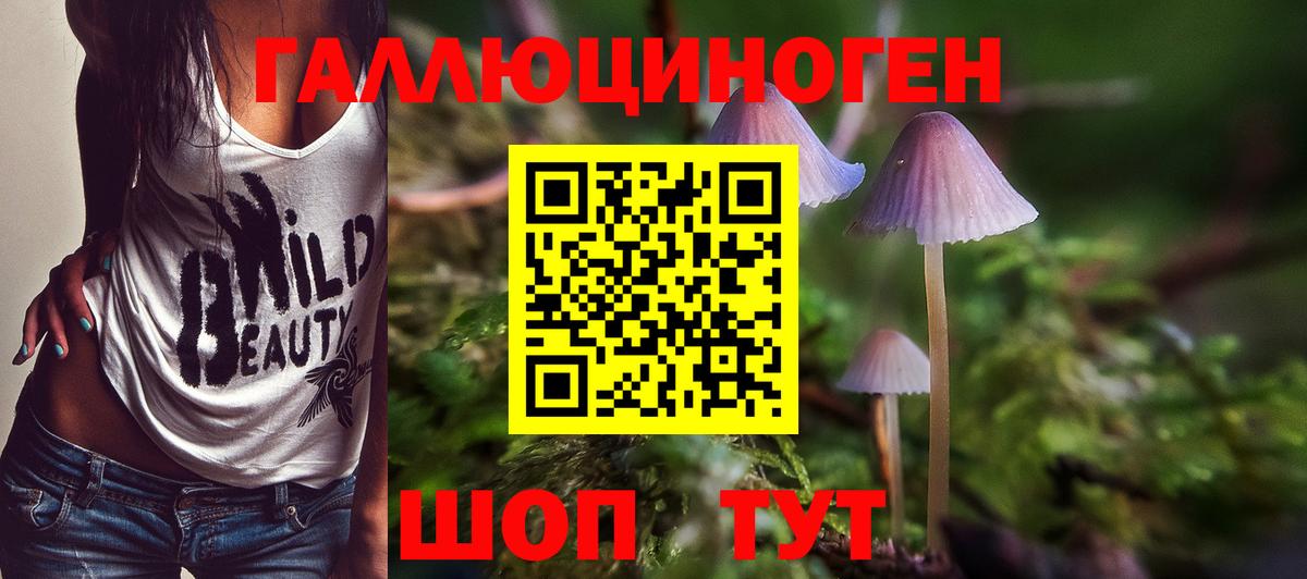 Галлюциногенные грибы мицелий  Псилоцибиновые грибы мухоморы  Вход с VPN  Назарово 