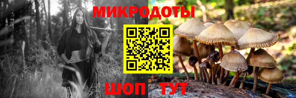 Псилоцибиновые грибы ЛСД Назарово